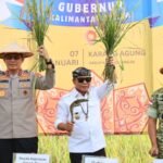 Kapolda Kaltara Gelar Panen Raya Jagung 2025, Perkuat Ketahanan Pangan Daerah Kapolda Kaltara Gelar Panen Raya Jagung 2025, Perkuat Ketahanan Pangan Daerah
