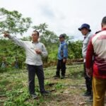 Pemkab Bulungan Duduk Bersama Petani Metun Sajau, Dorong Kebangkitan Kakao dan Hilirisasi