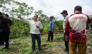 Pemkab Bulungan Duduk Bersama Petani Metun Sajau, Dorong Kebangkitan Kakao dan Hilirisasi