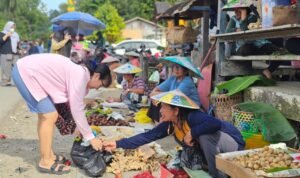 Pemkab Bulungan mengalokasikan anggaran untuk mendukung pembangunan di Desa Antutan