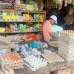 Produksi Telur Kaltara Jauh dari Kebutuhan, Pemprov Dorong Penguatan Peternak Lokal