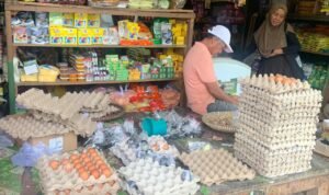 Produksi Telur Kaltara Jauh dari Kebutuhan, Pemprov Dorong Penguatan Peternak Lokal