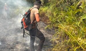 Kebakaran Lahan SP 6 Kembali Ditangani, Petugas Padamkan Titik Api Baru